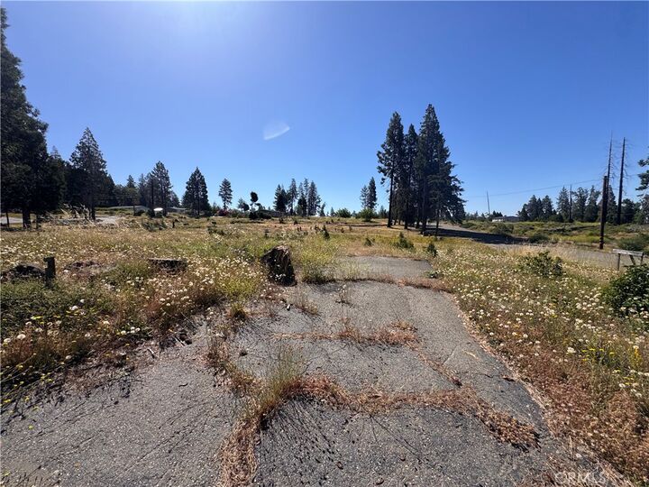 Property Photo:  13712 Endicot Circle  CA 95954 