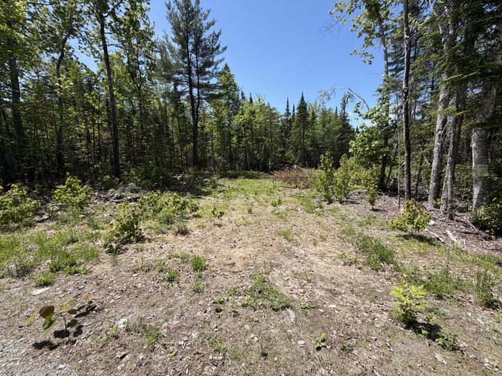 Property Photo: 0 Merritt Drive ME 04473