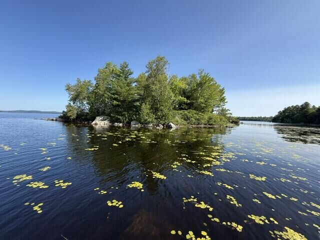 Property Photo:  Lot 018 Pike Island  ME 04657 