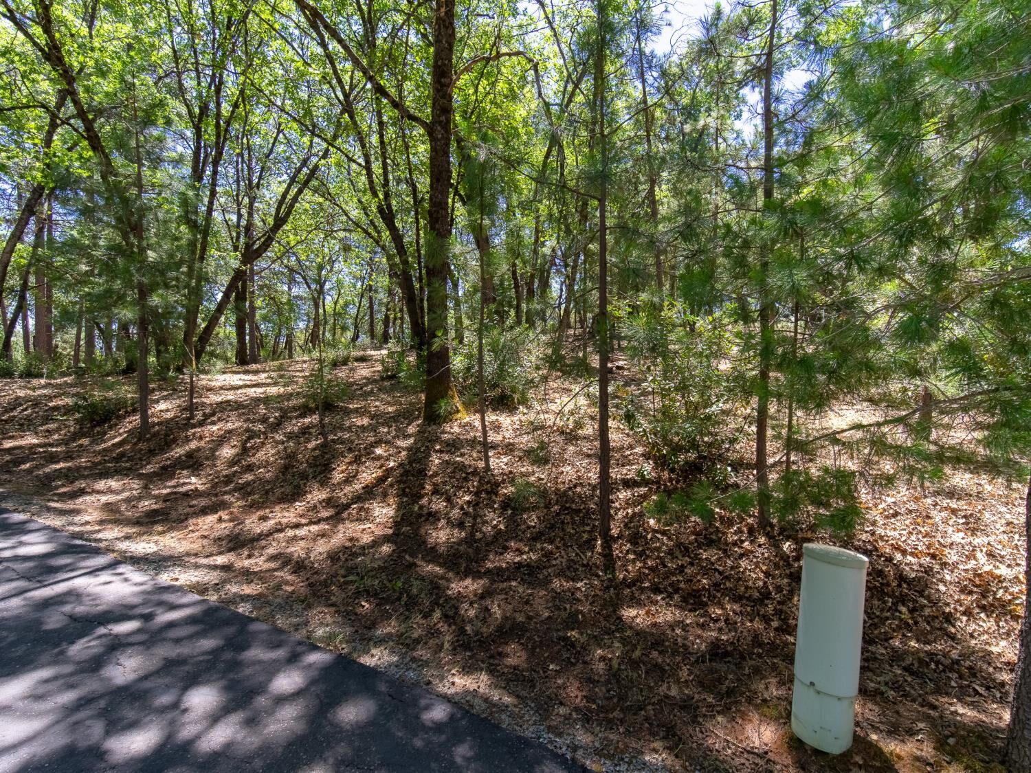 Property Photo: 5030 Irish Oak Lane CA 95667