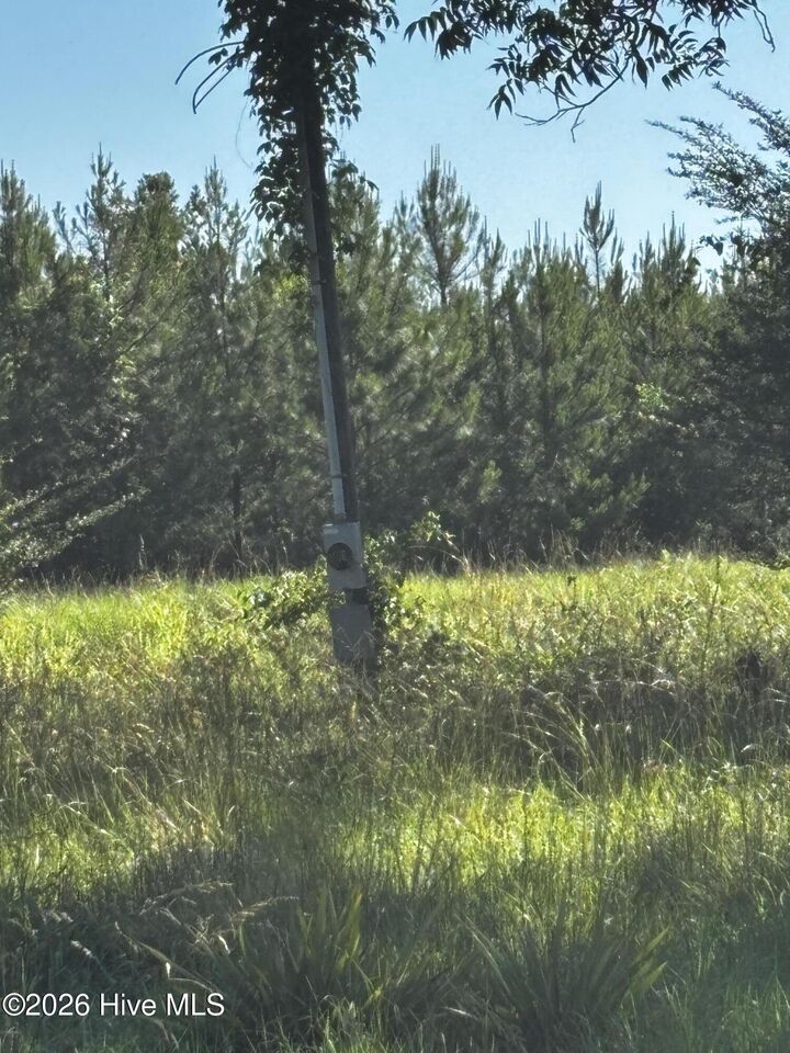 Property Photo:  N/A Bill Oliver Road  GA 31096 
