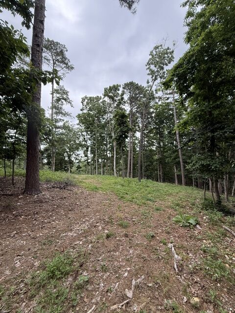 Property Photo: 17575 Sweeps Lane AR 72756