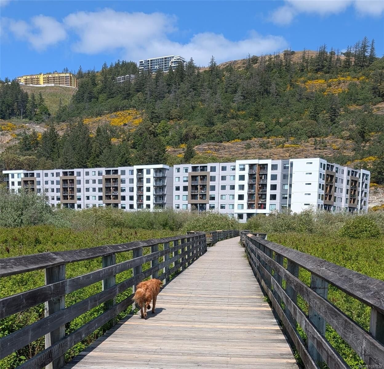 Property Photo:  1361 Goldstream Ave #511  BC V9B 7B4 