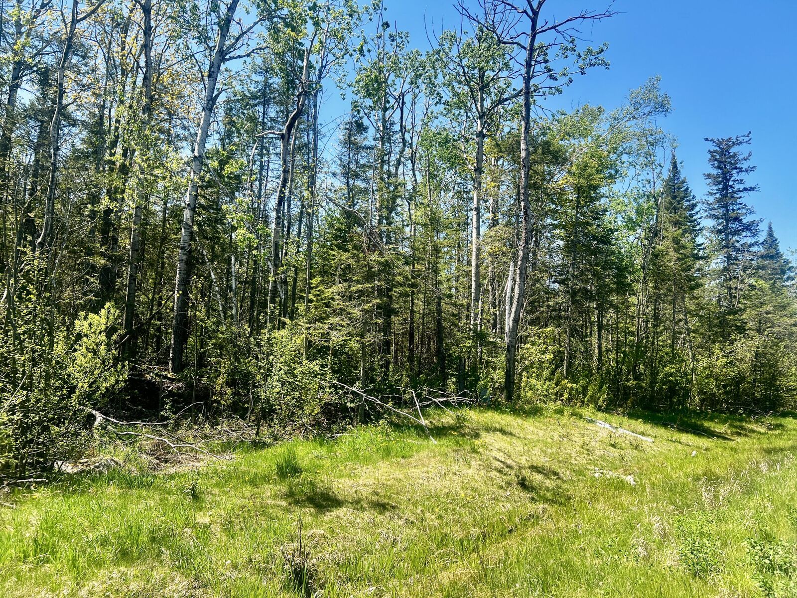 Property Photo: 6116 U.s. 23 Highway MI 49721