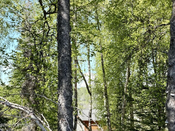 Property Photo: 36255 Denbrock Street AK 99669