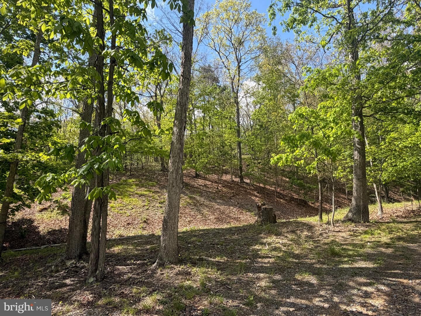 Property Photo: 00 Baker Hollow WV 26719
