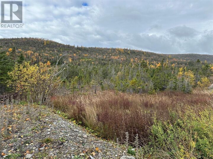 Property Photo:  Lots 0-3 Neddies Harbour Road  NL A0K 3V0 