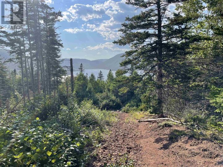 Property Photo:  Cabot Trail  NS B0C 1L0 