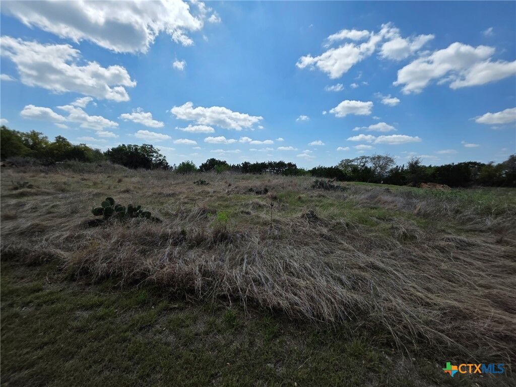 Property Photo: 21695 Fm 2484 TX 76542