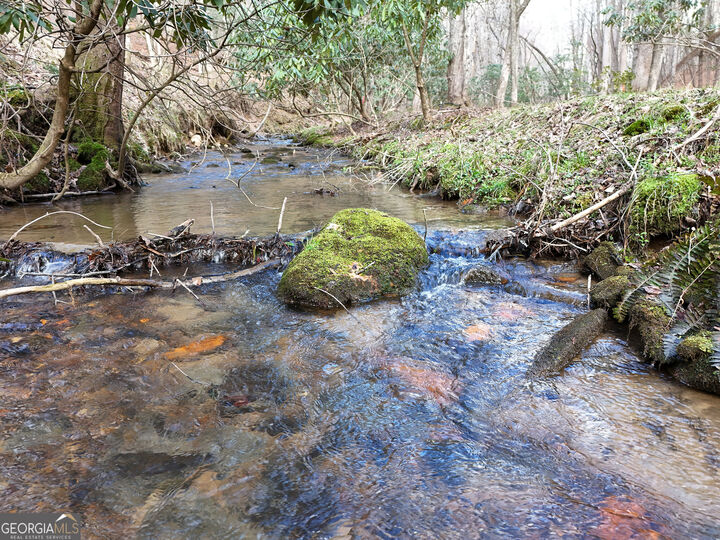 Property Photo:  Lt 45A Synacia Drive  GA 30559 