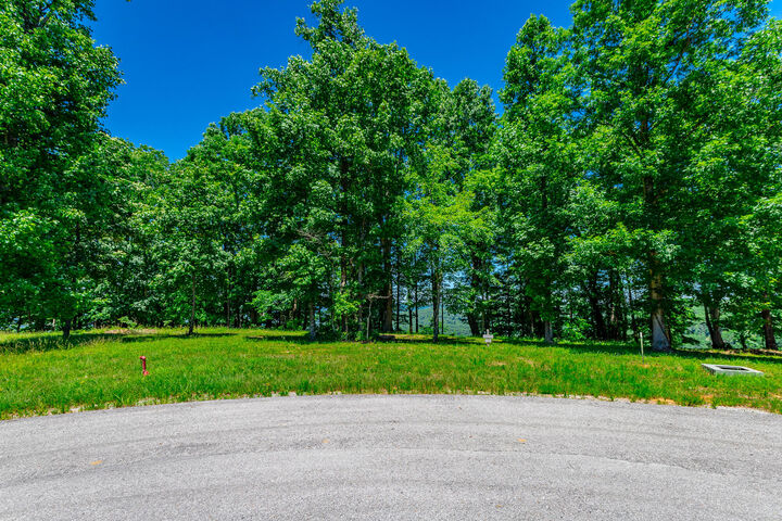 Property Photo: 0 Volunteer Street TN 37347