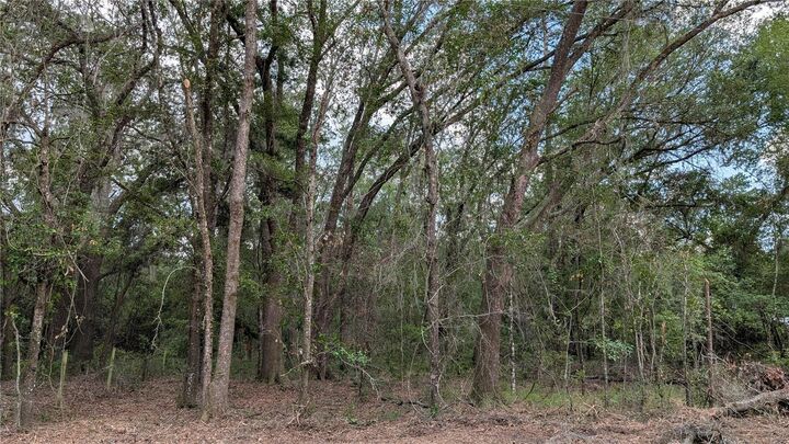 Property Photo:  Tbd NE 108th Place  FL 32694 
