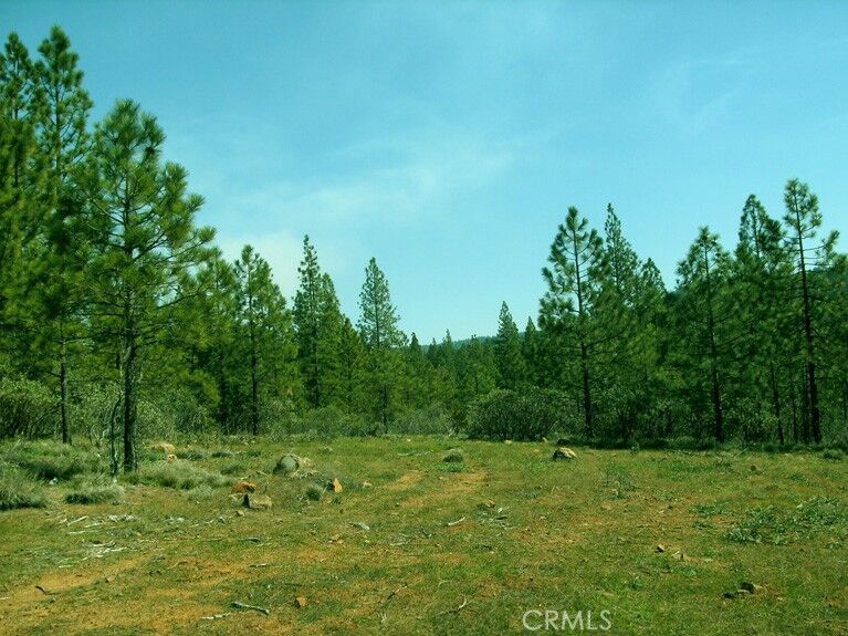 Property Photo:  36 Allen Way  CA 95919 