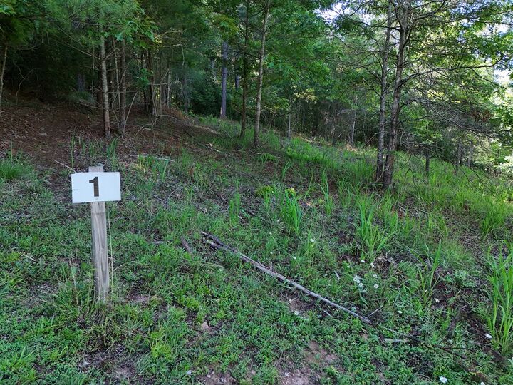 Property Photo:  Lot 1 Big Knoll Drive  GA 30512 