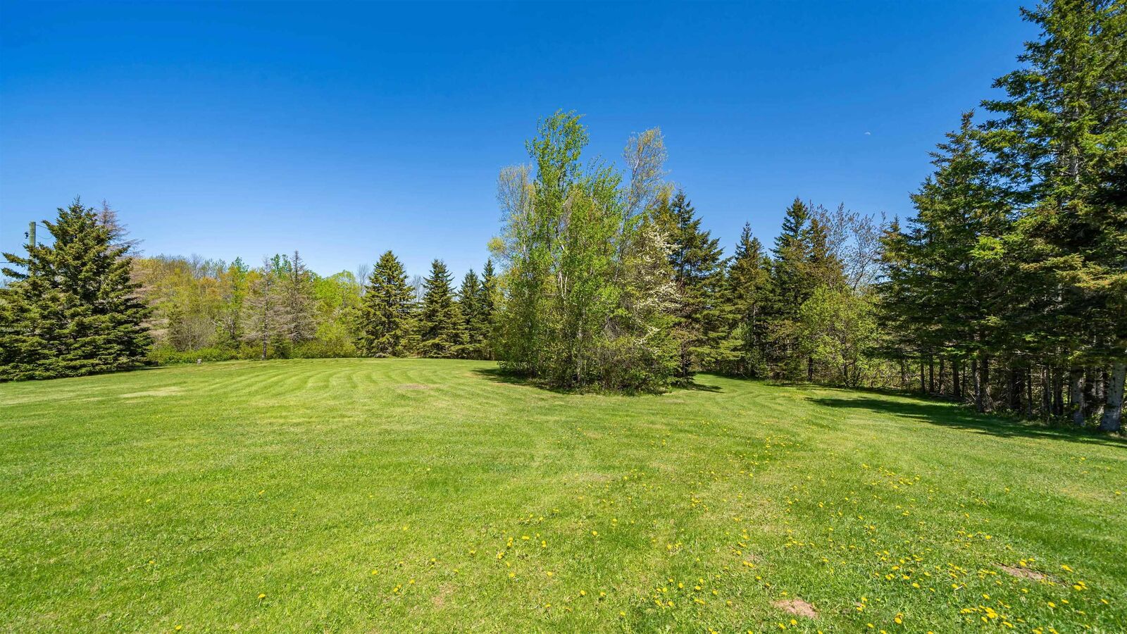 Property Photo: 71 Hummingbird Lane NS B0K 1S0