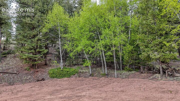 Property Photo:  918 Pinon Lane  CO 80816 