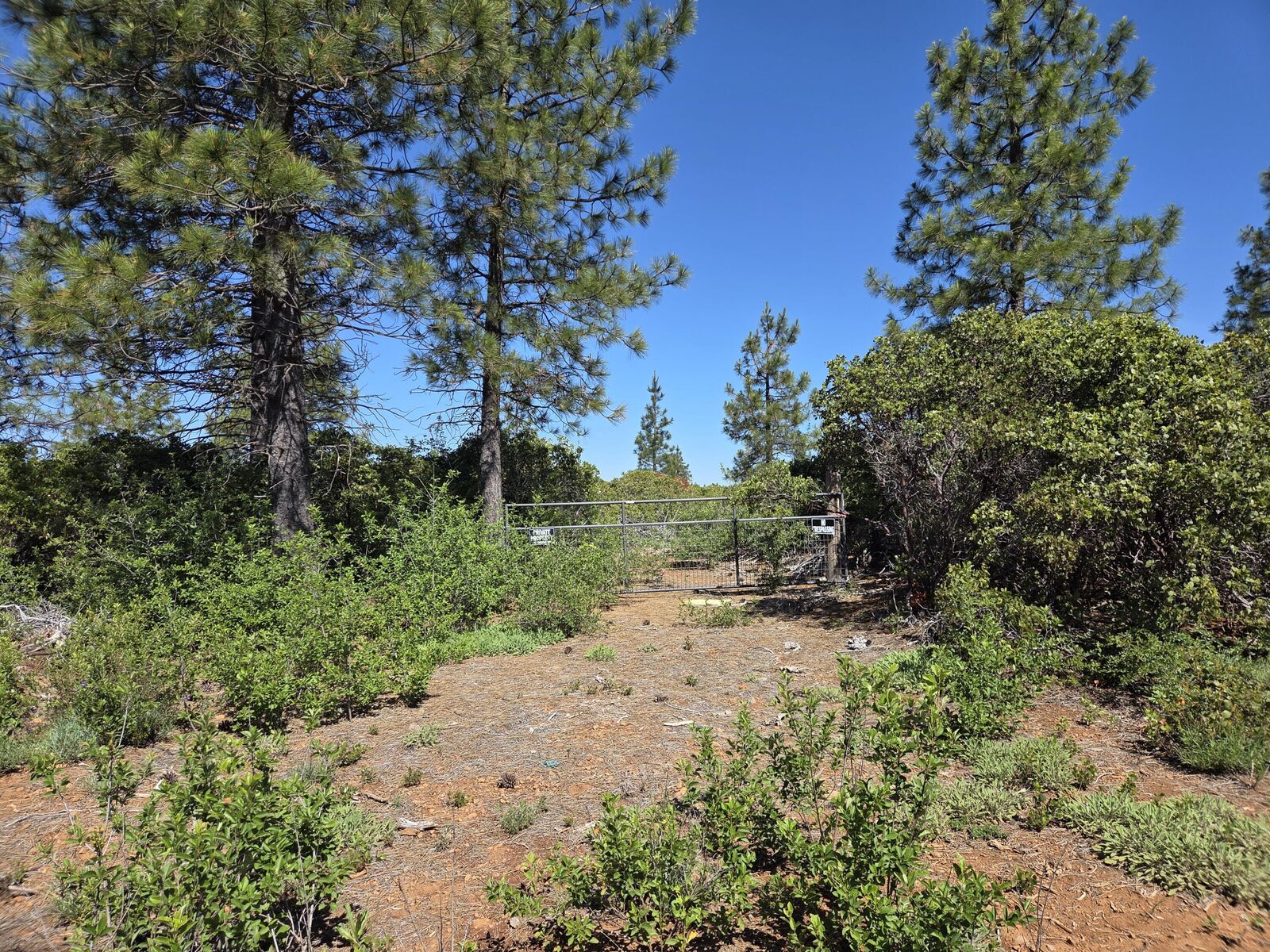 Property Photo:  Lot 2 Eleanor Way  CA 96088 