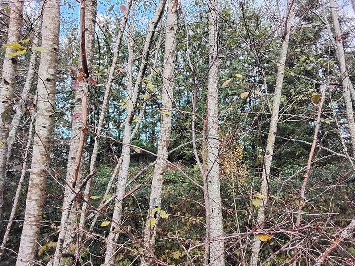 Property Photo: Lot E Tatton Rd BC V9N 7E4