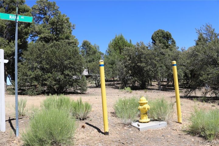 Property Photo: 0 Pioneer Lane CA 92314