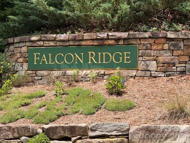 Property Photo:  85 Boulder Creek Way 19  NC 28805 