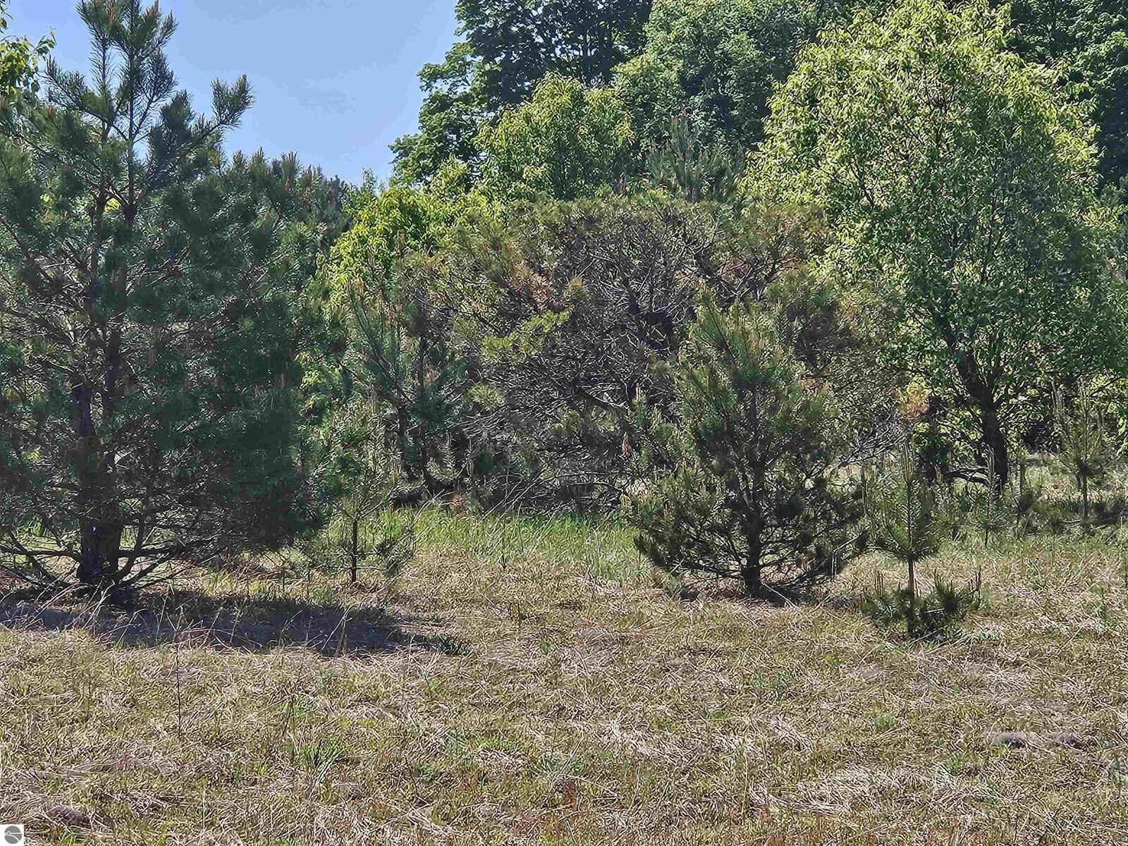 Property Photo:  V/L Parcel C SE Grass Lake Road  MI 49646 