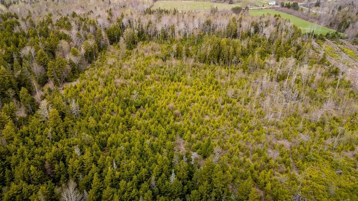 Property Photo:  Lot Highway 215  NS B0N 2R0 