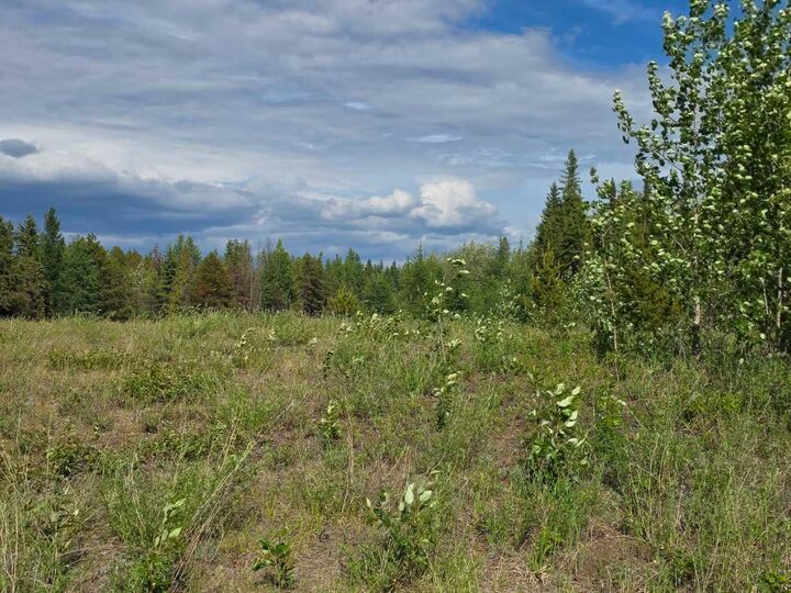 Property Photo: 64009 704 Township 5 AB T8X 5C3
