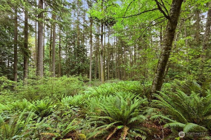 Property Photo:  241  Belvedere Drive  WA 98368 