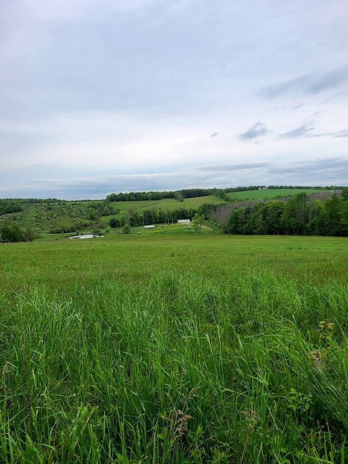 Property Photo: 10815 Church Creek Road NY 14830