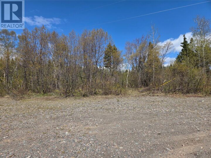Property Photo:  29-46 Aspen Drive  NL A0H 1E0 