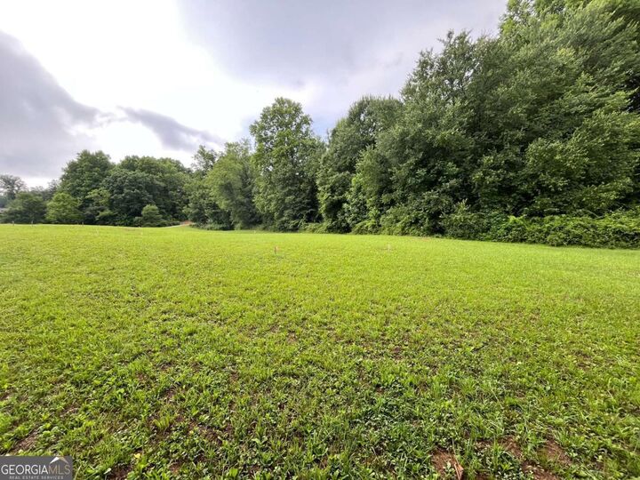 Property Photo:  Lot 117 Owen Glen Drive  GA 30512 