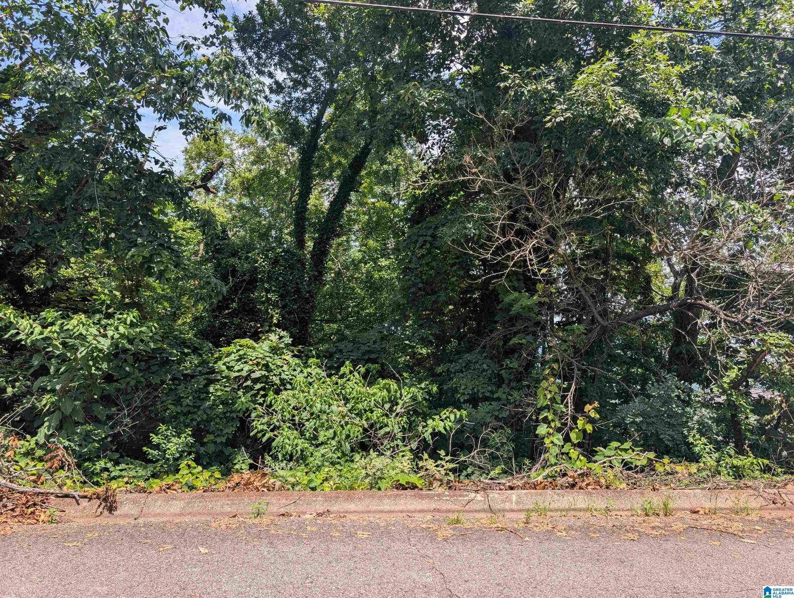 Property Photo: 0 Hillyer High Road 0 AL 36207