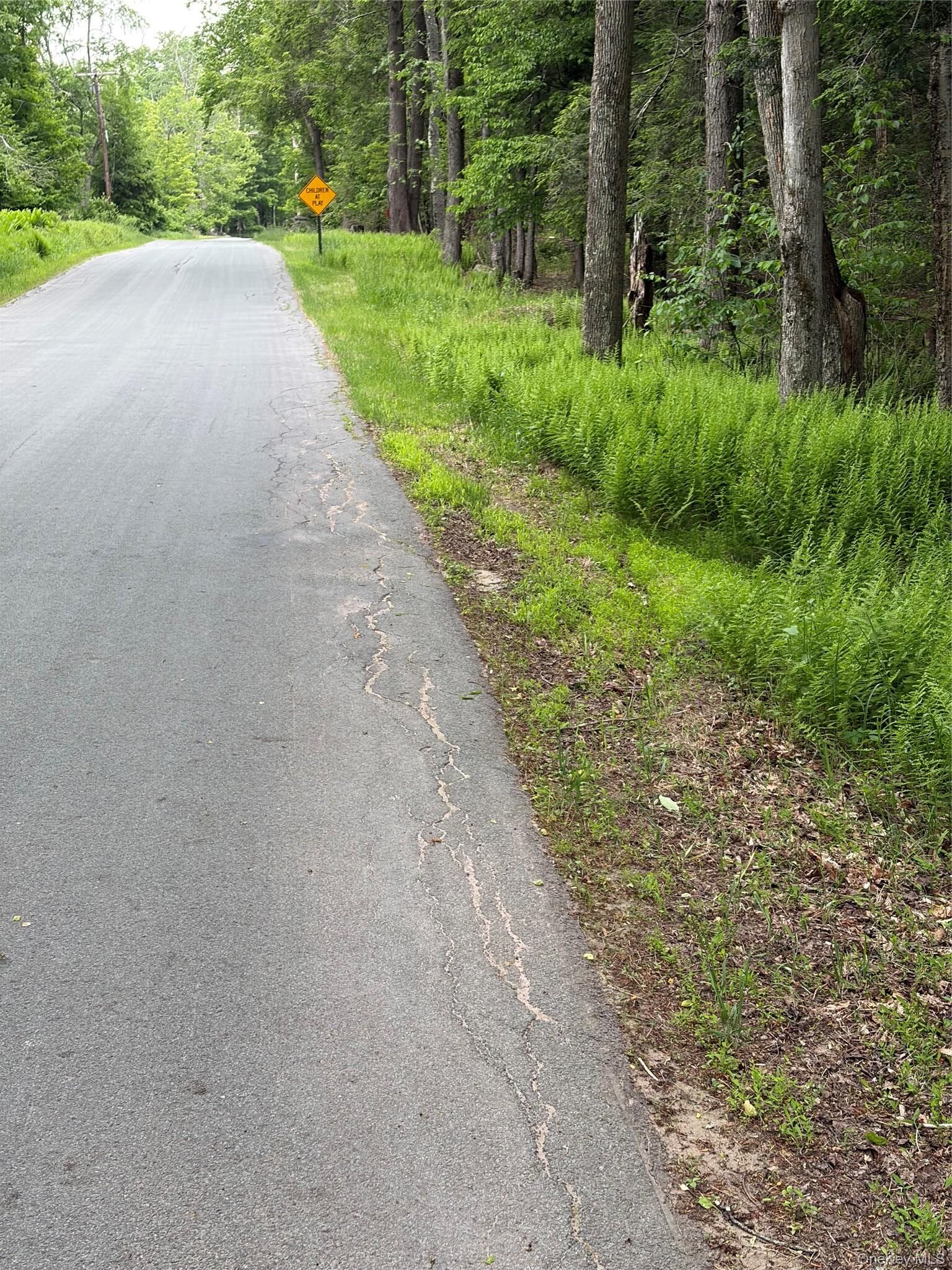 Property Photo: Creamery Creamery Road NY 12701