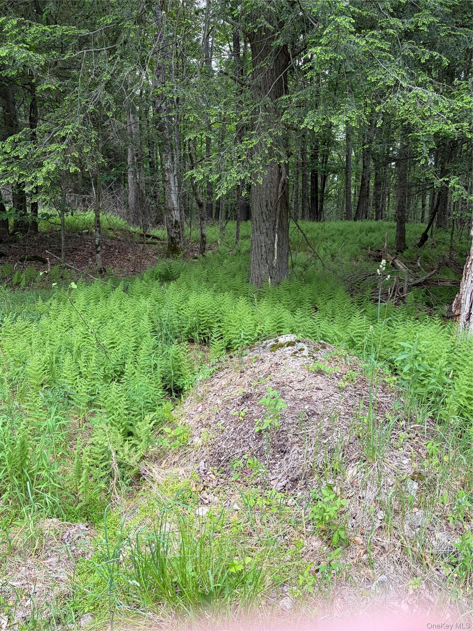 Property Photo:  Creamery Road  NY 12701 