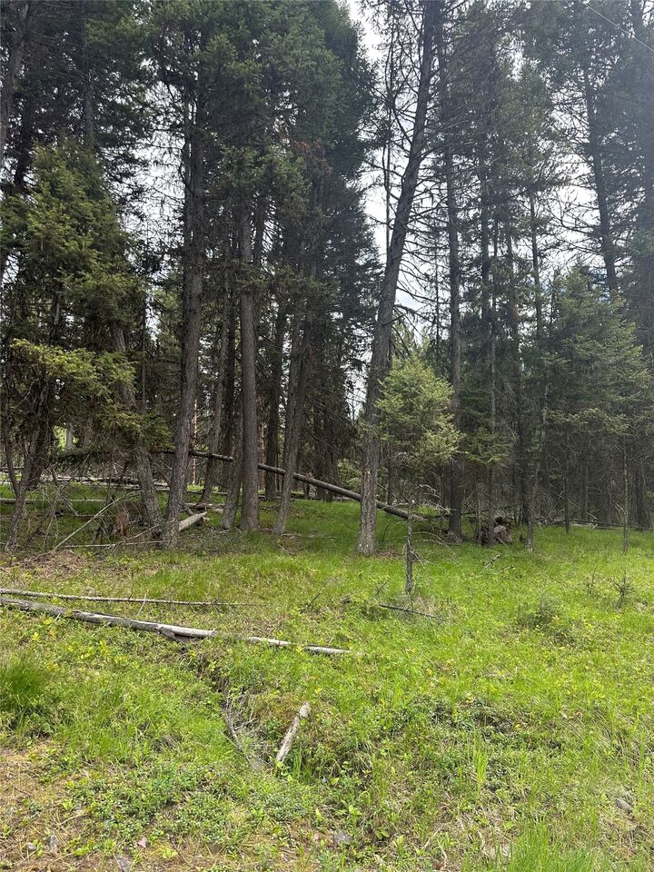 Property Photo:  1274 Grandview Drive  MT 59868 