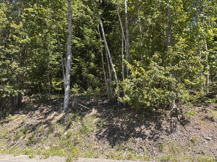 Property Photo: Lot 131 Aspen Road BC V0E 1M8