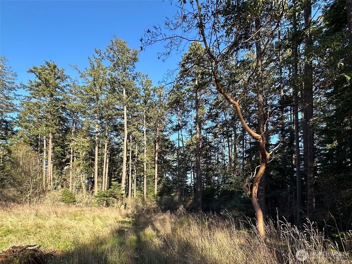 Property Photo: 206 Island Drive WA 98250