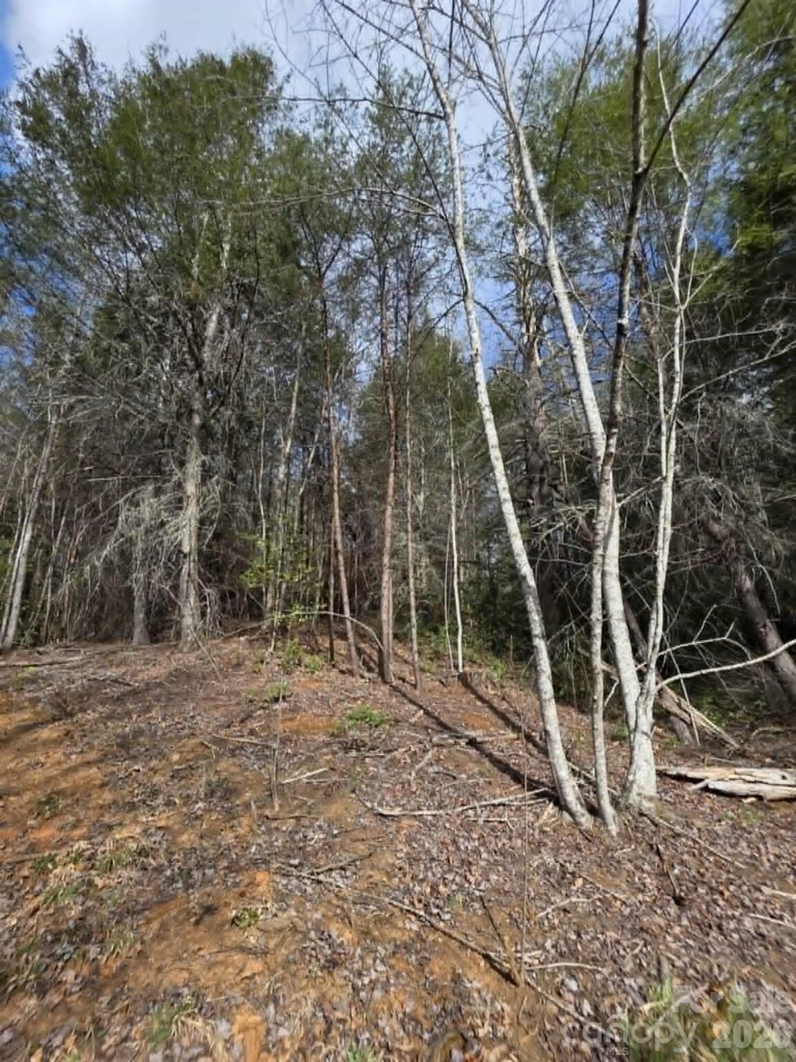 Property Photo:  Lot 4 Kerlee Lane  NC 28762 