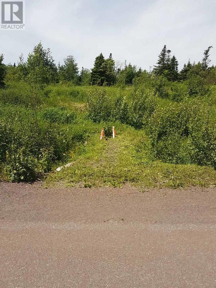 Property Photo:  107 Main Street  NL A0H 2A0 