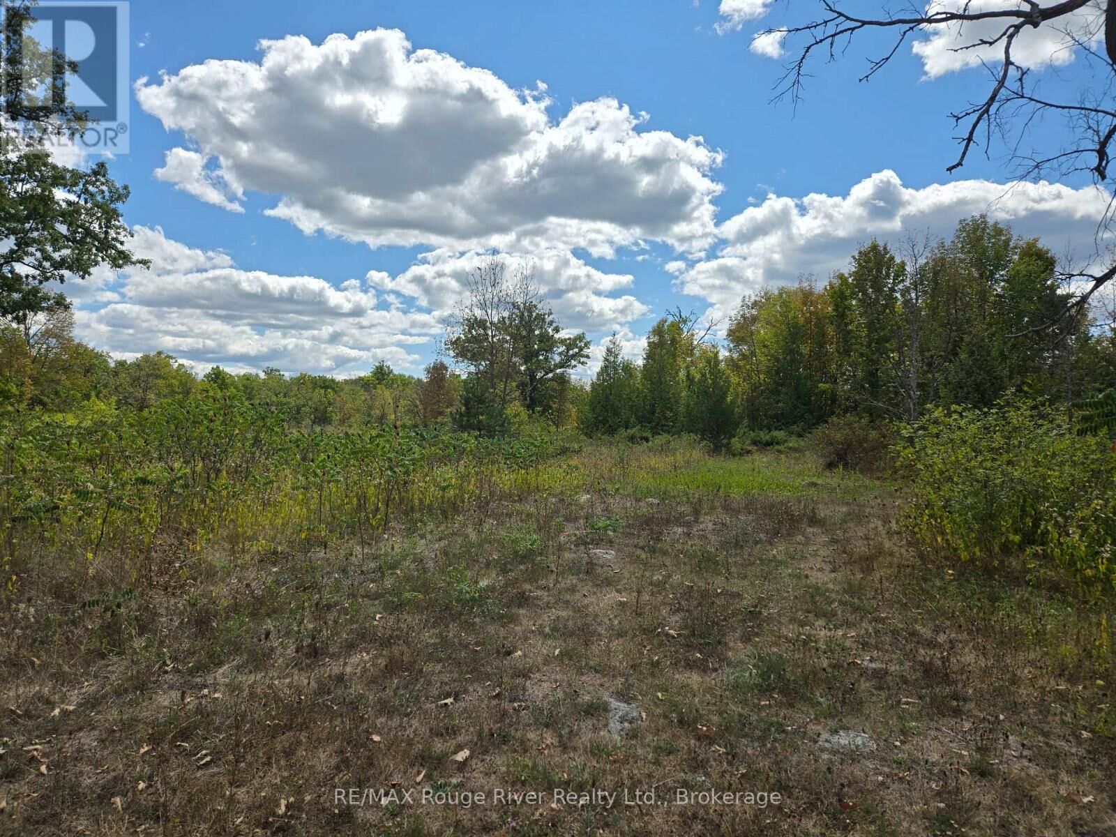 Property Photo:  103080 Highway 7 Highway East  ON K0K 2M0 