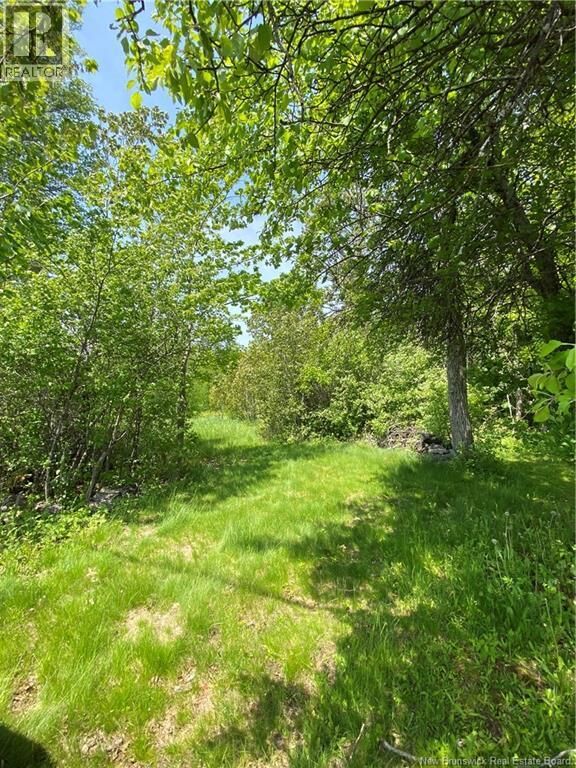 Property Photo:  Lot Route 134  NB E4P 3G9 