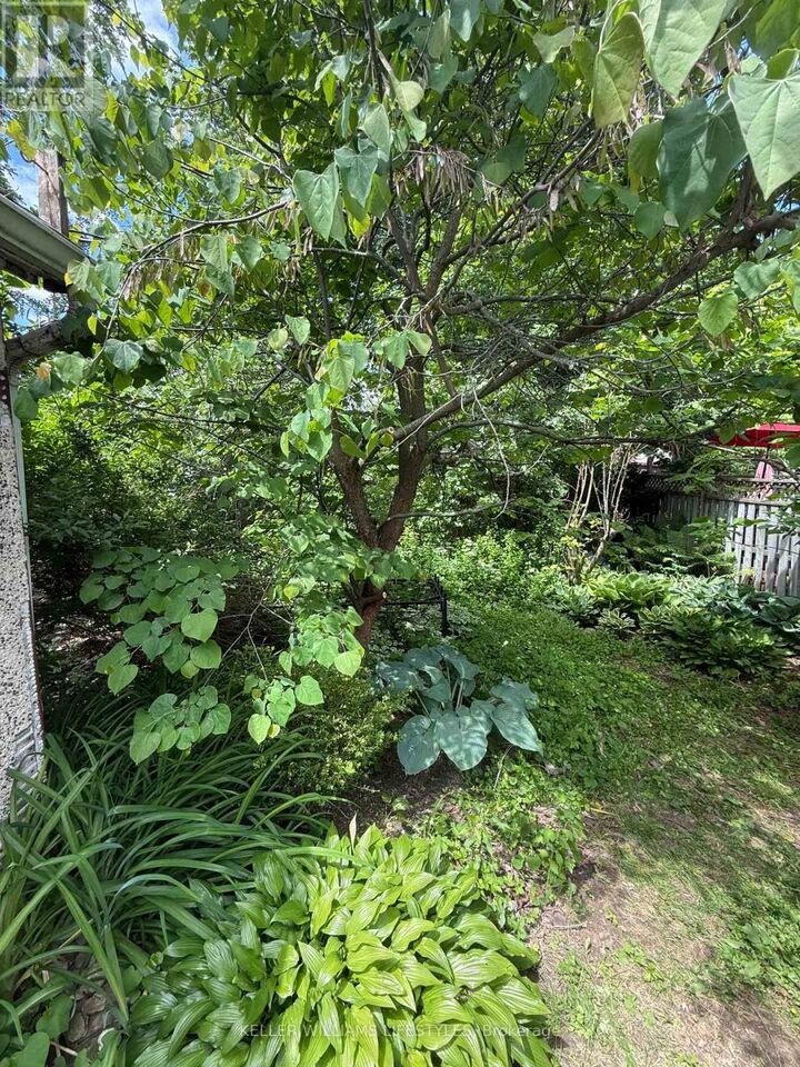 Property Photo:  15 Lyndhurst Place  ON N6C 4H7 