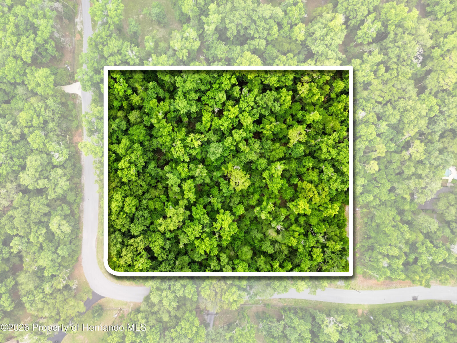 Property Photo: 0 Withrow Road FL 34601