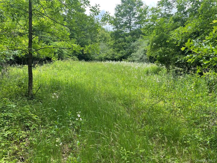Property Photo: 454 County Route 17 NY 12566