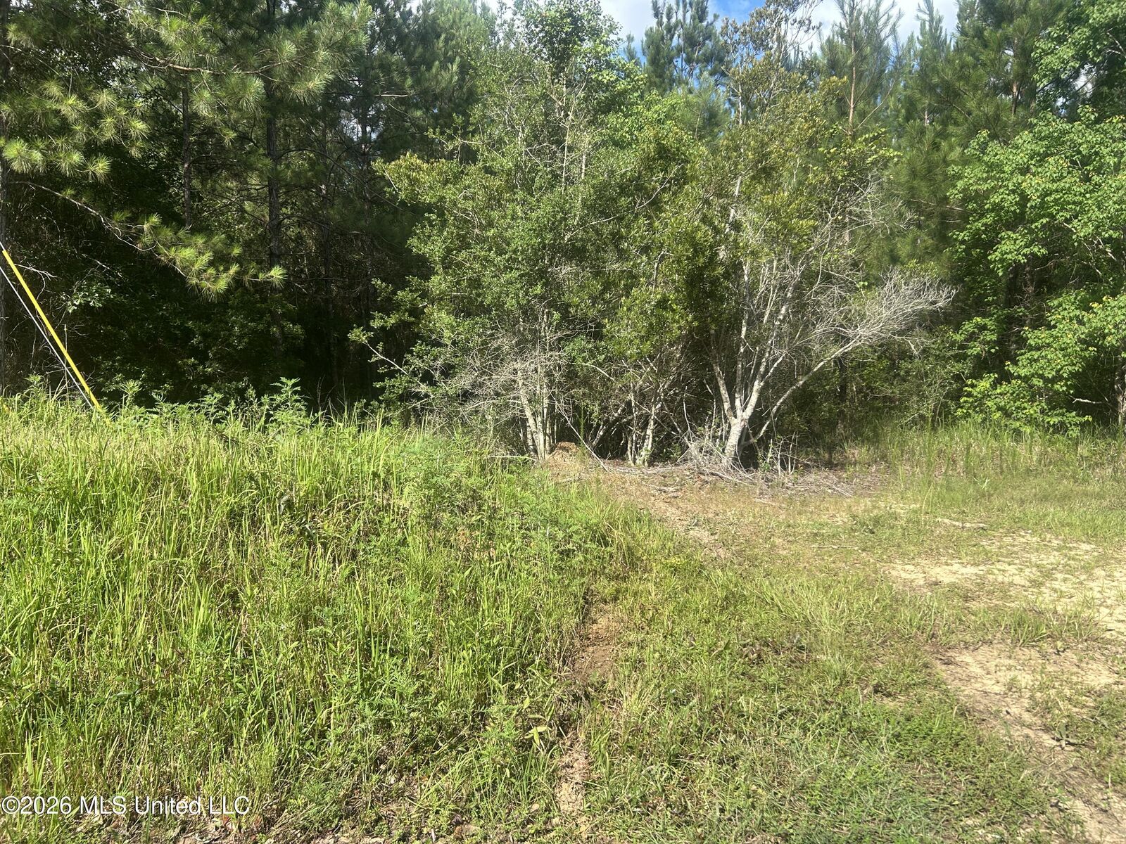 Property Photo:  Ms-67  MS 39532 