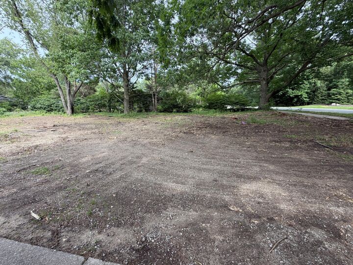 Property Photo: 0 James Street MI 49424