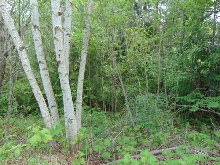 Property Photo: Juniper Circle BC V0E 2W2
