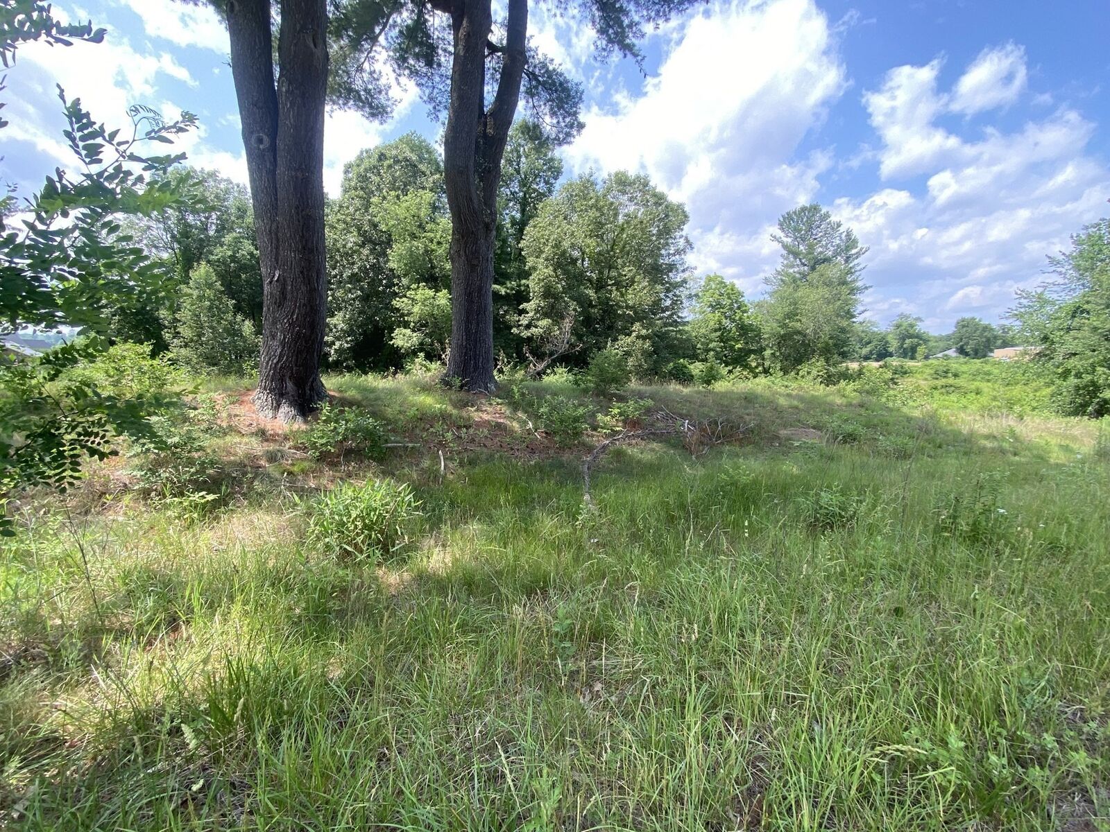 Property Photo:  Lot 761 College Highway  MA 01077 