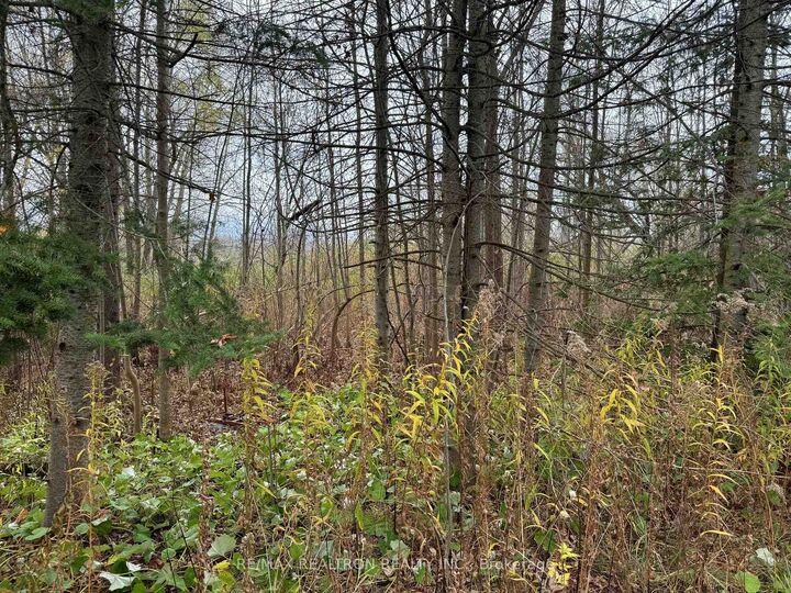 Property Photo:  0 Taylorwoods Boulevard  ON L9S 2E9 