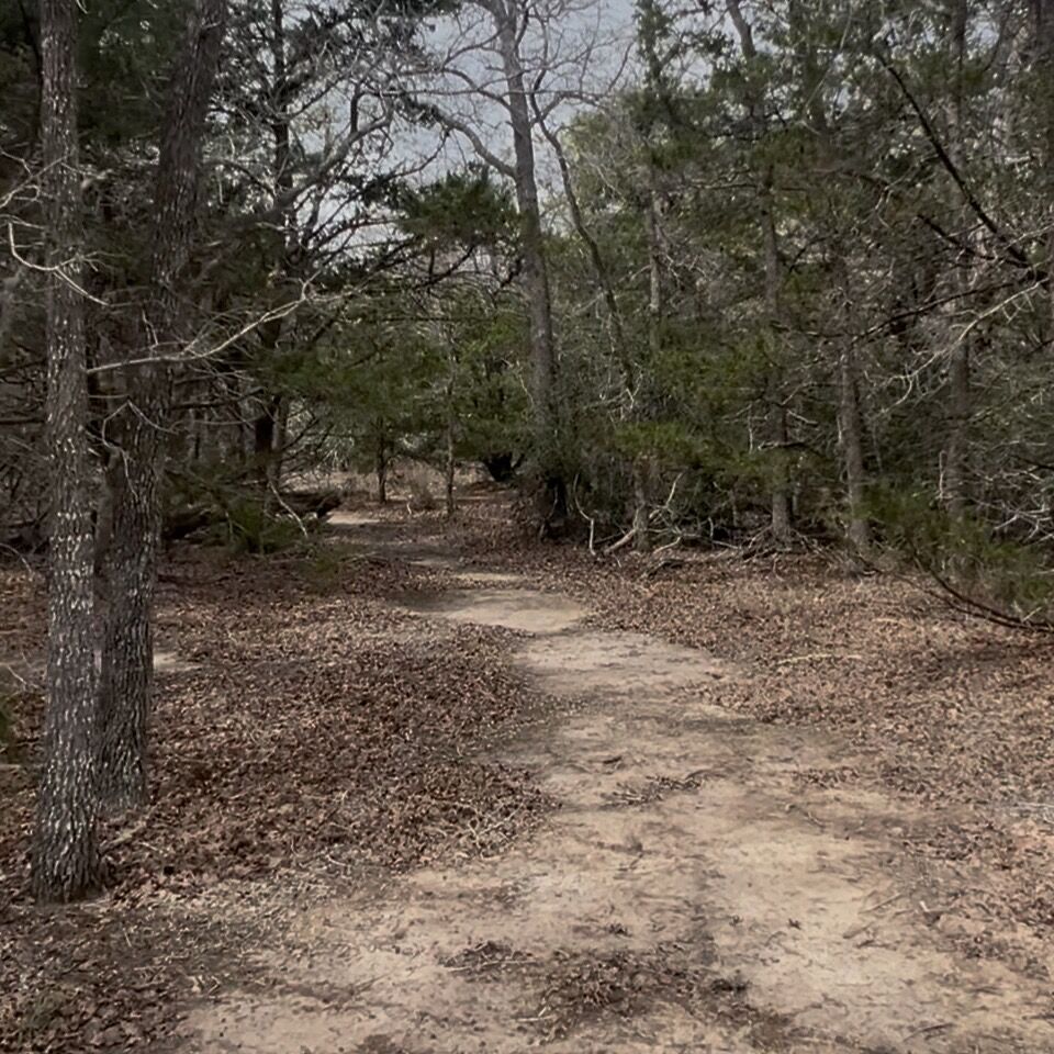 Property Photo:  Lot 10 South Old Potato Road  TX 78659 